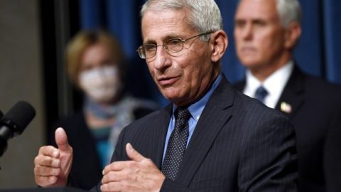 Dr. Fauci: Community spread ‘insidious,’ economy should be reopened in a ‘measured way’